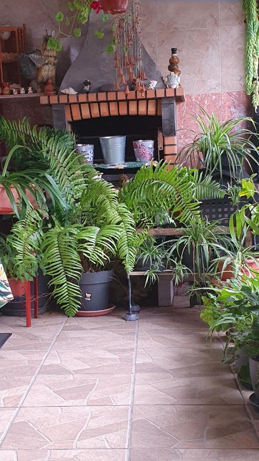 Casa Rural El Puente Taganana Luaran gambar